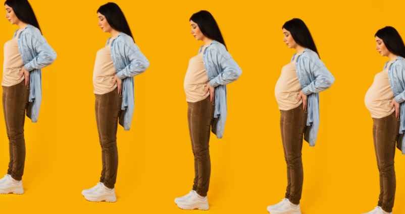 Comment les médecins estiment-ils le poids du fœtus ?-L'enfant dans la nature Comment les médecins estiment-ils le poids du fœtus ?-L'enfant dans la nature