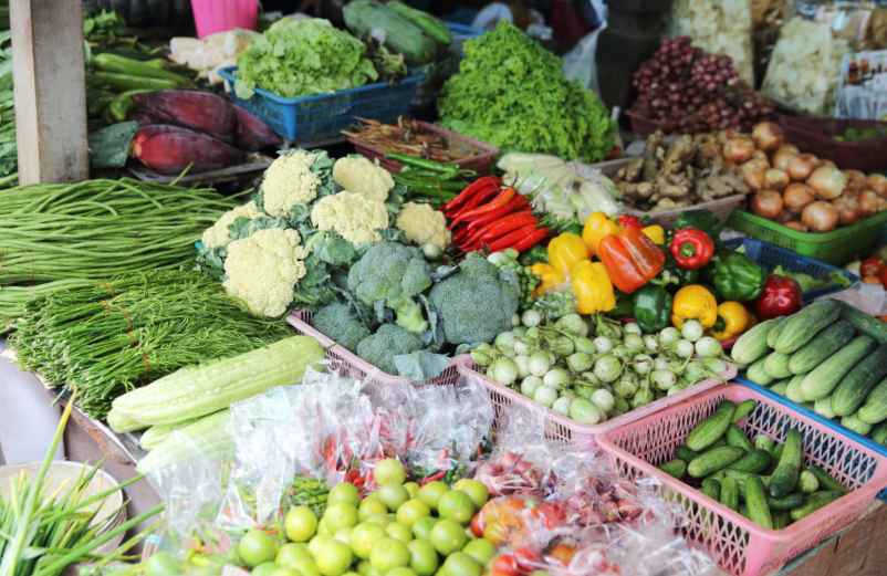 L'arrêt temporaire des crudités-L'enfant dans la nature L'arrêt temporaire des crudités-L'enfant dans la nature